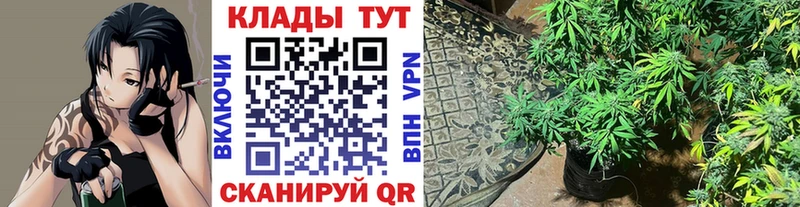 Галлюциногенные грибы Алексин