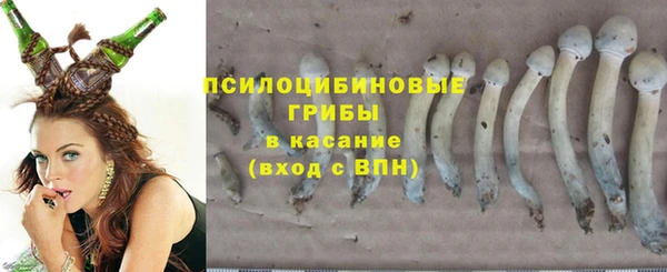 мдма Рославль