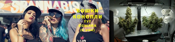 стаф Россошь