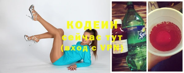стаф Россошь