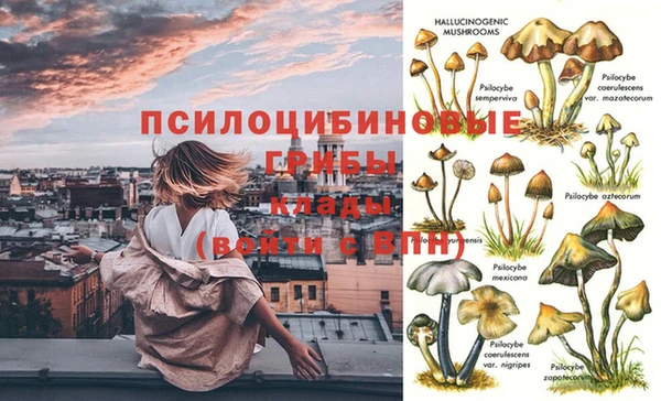молекула духа Абаза