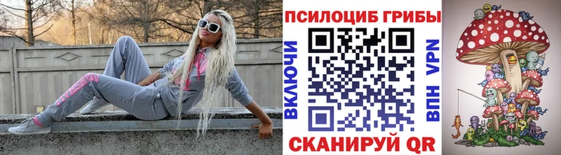 что такое наркотик  kraken ТОР  Псилоцибиновые грибы прущие грибы  Алексин 